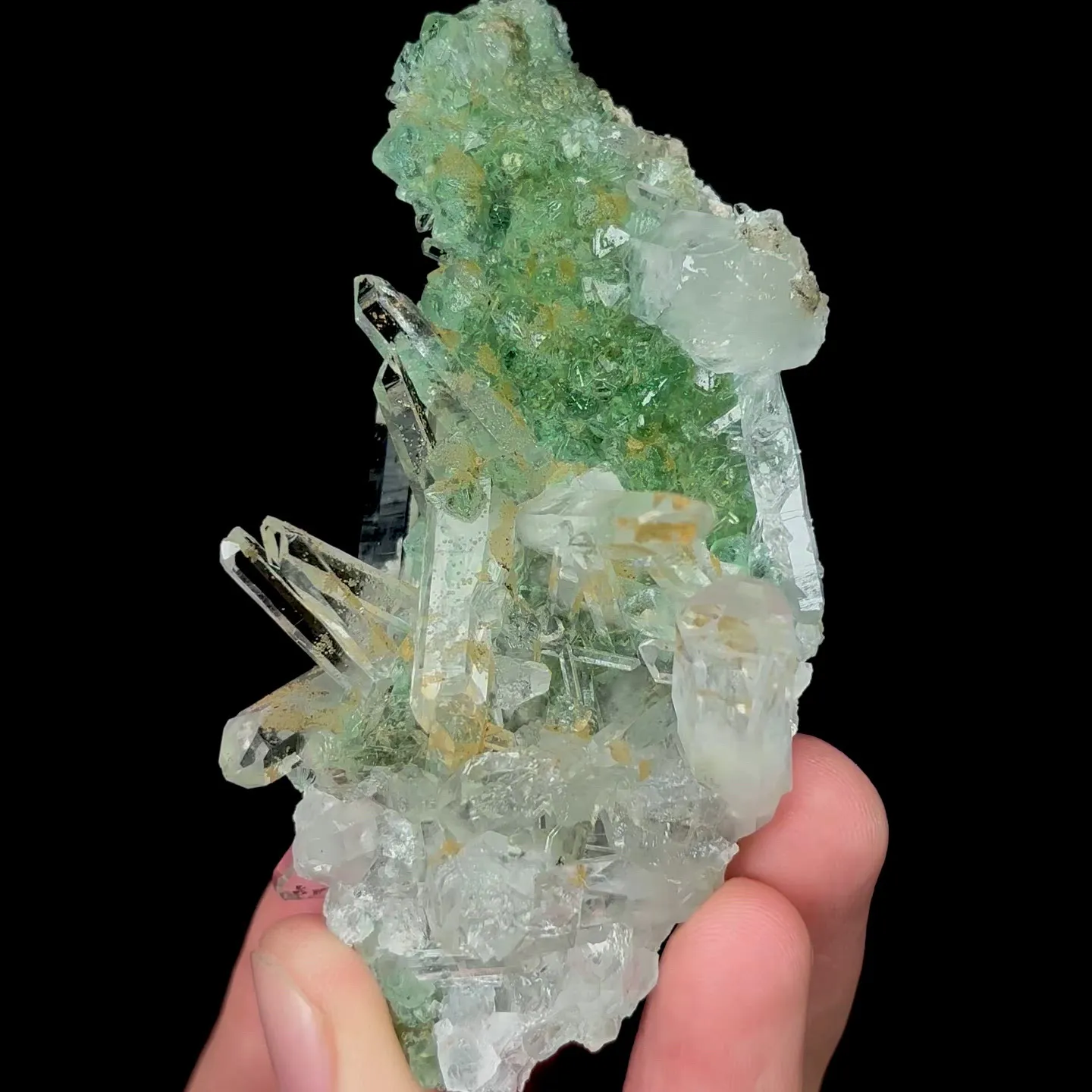 specimen video