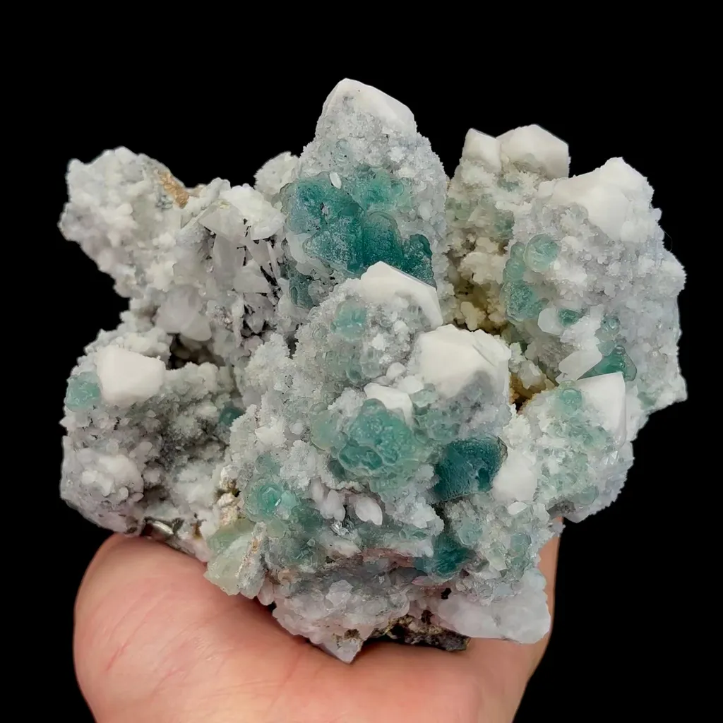specimen video
