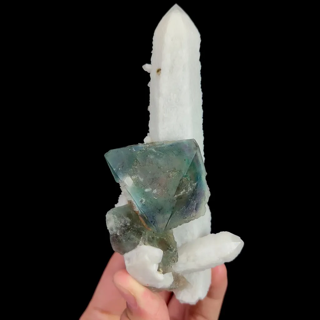 specimen video