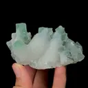specimen video