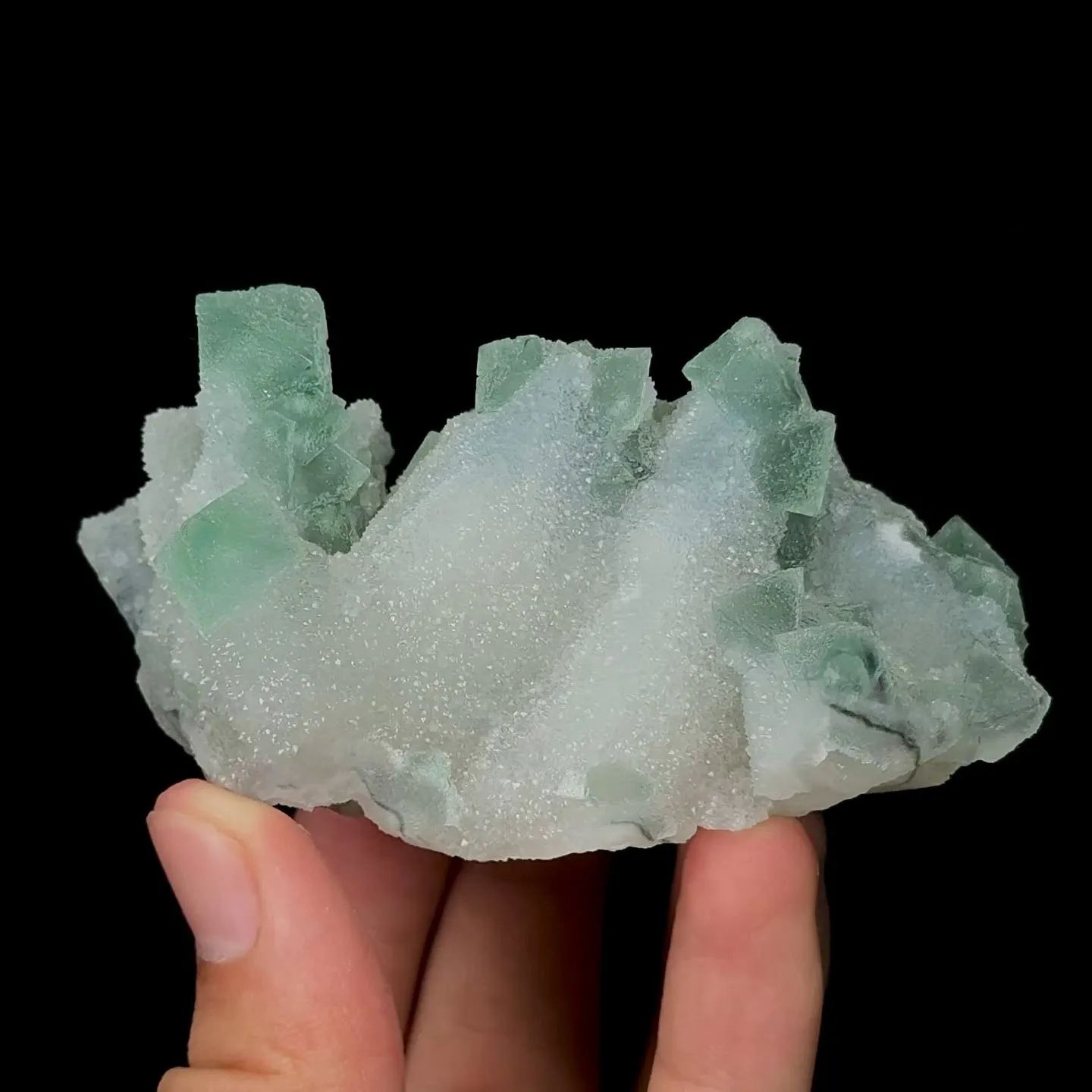 specimen video