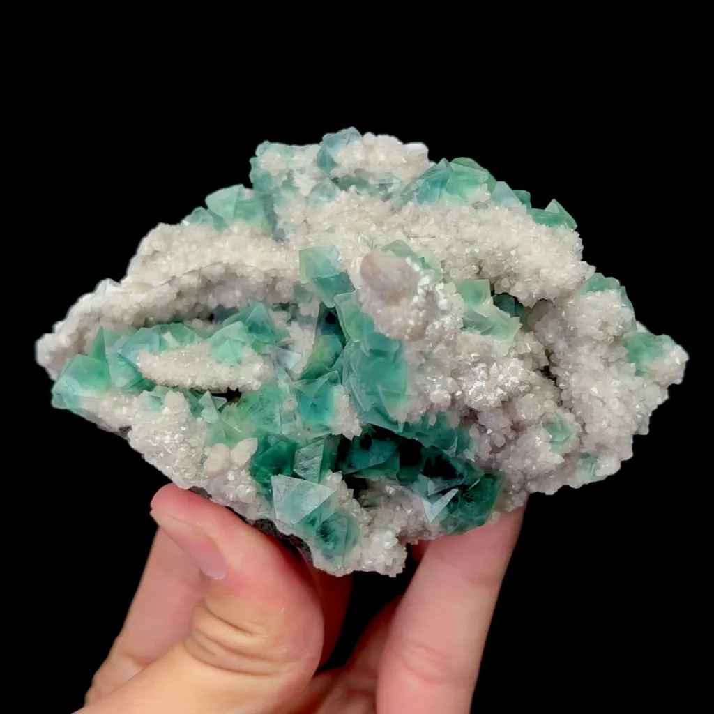 specimen video
