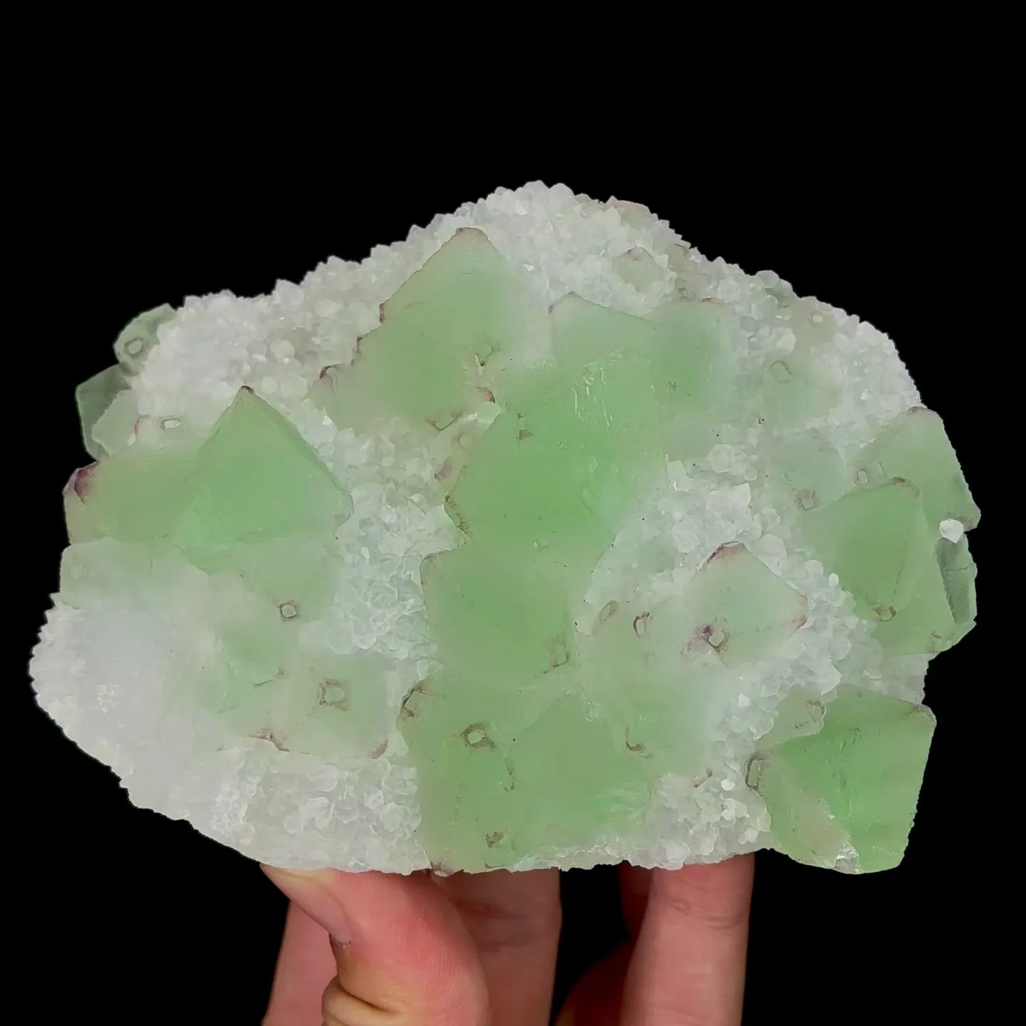 specimen video