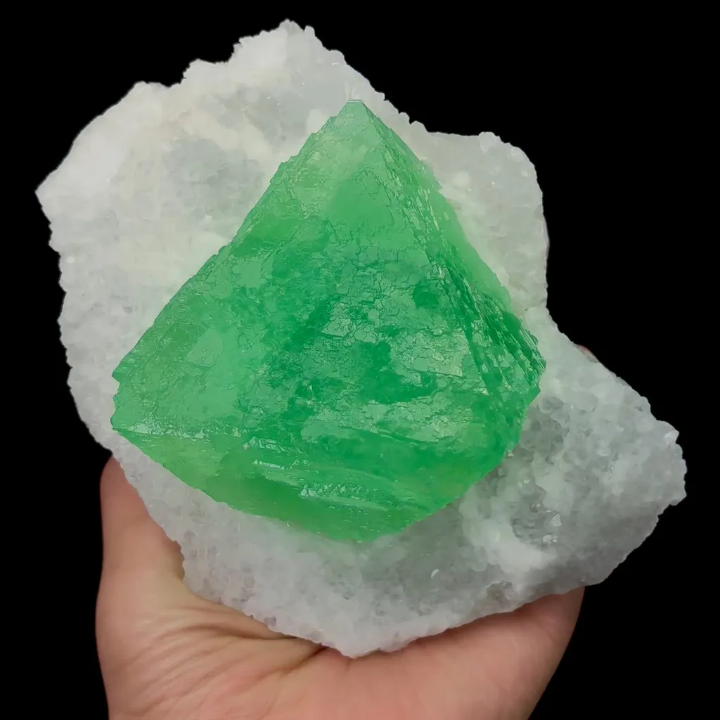 specimen video