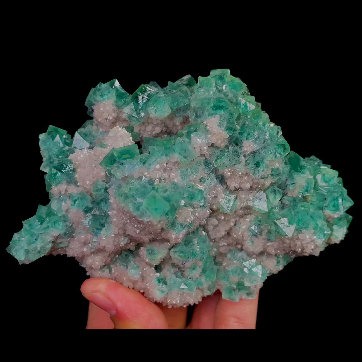 specimen video