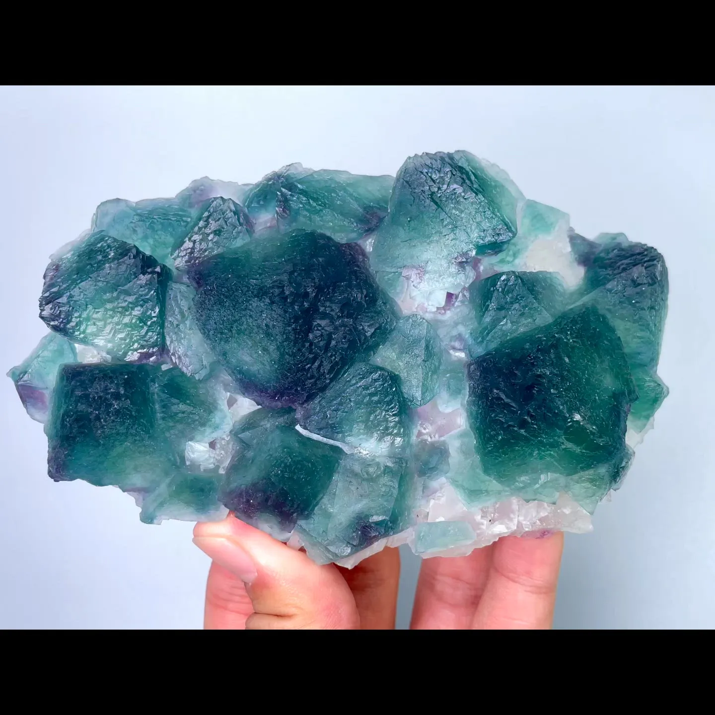 specimen video