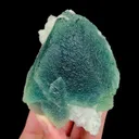 specimen video