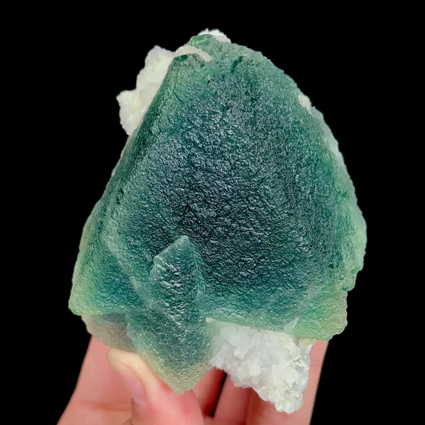 specimen video