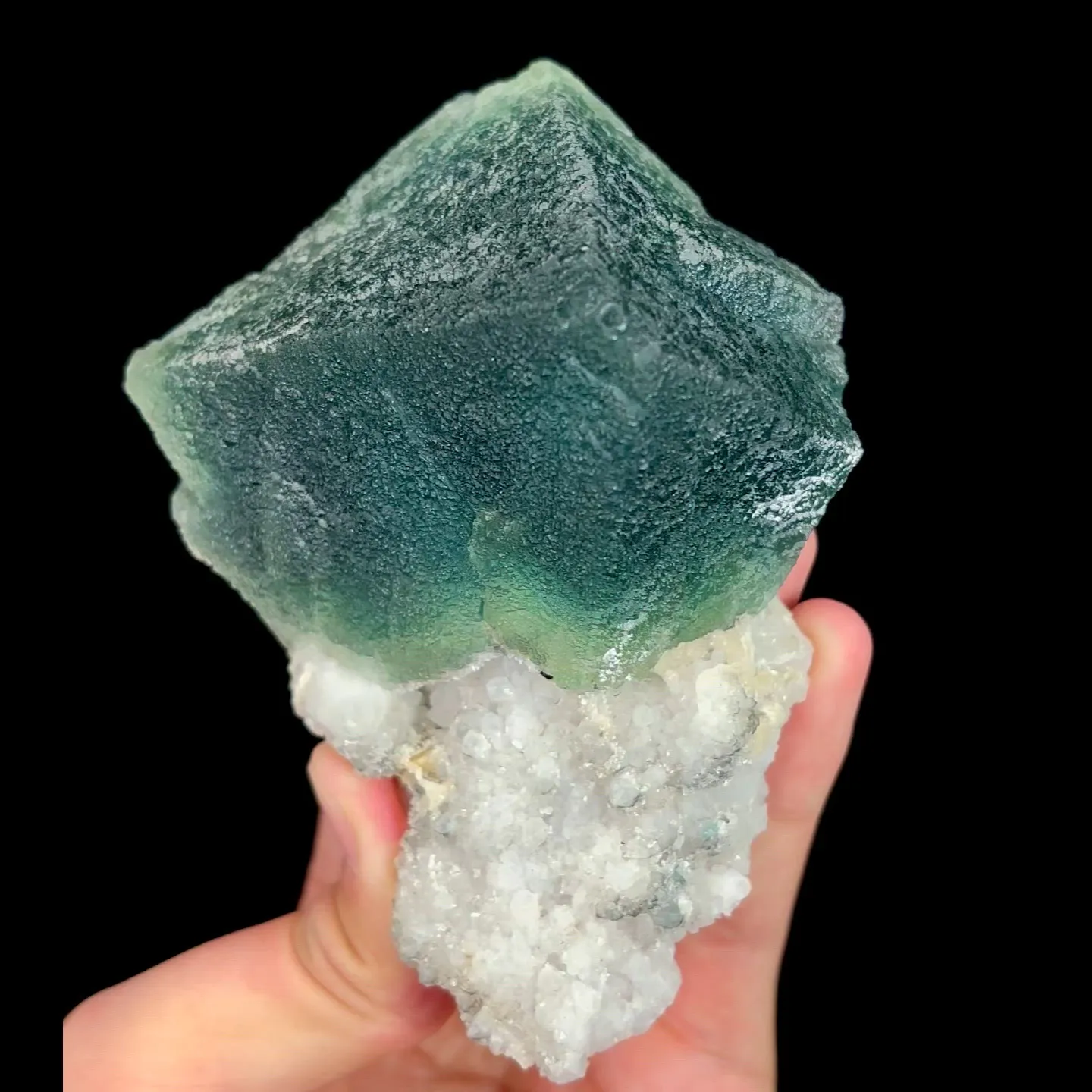 specimen video