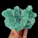 specimen video