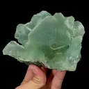 specimen video