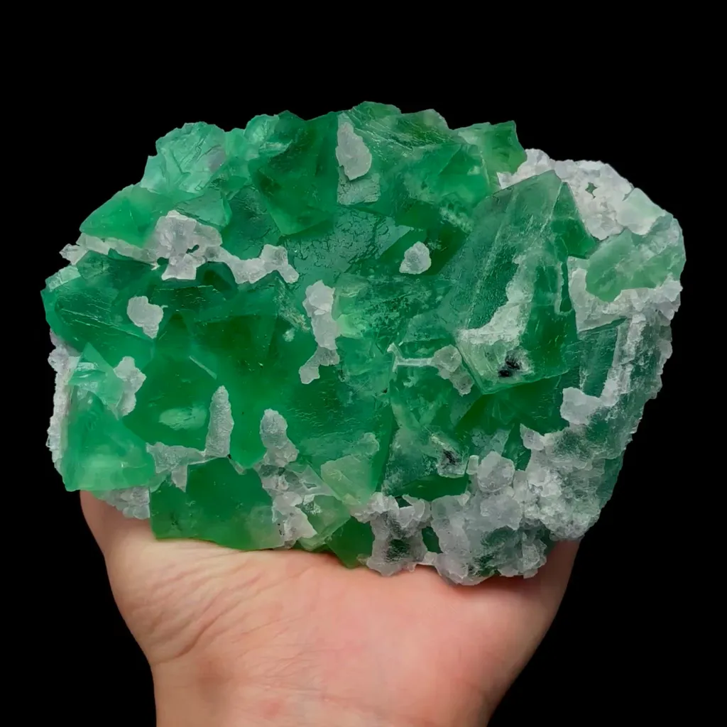 specimen video