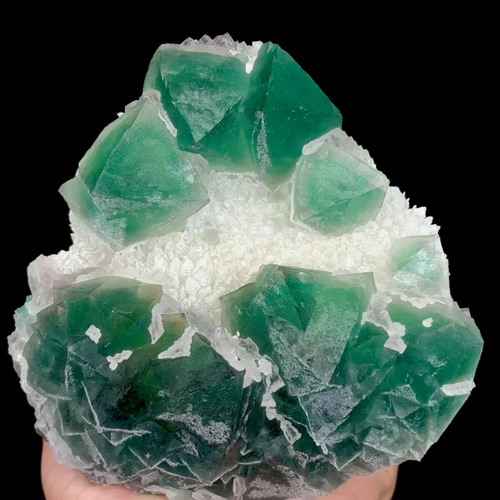 specimen video