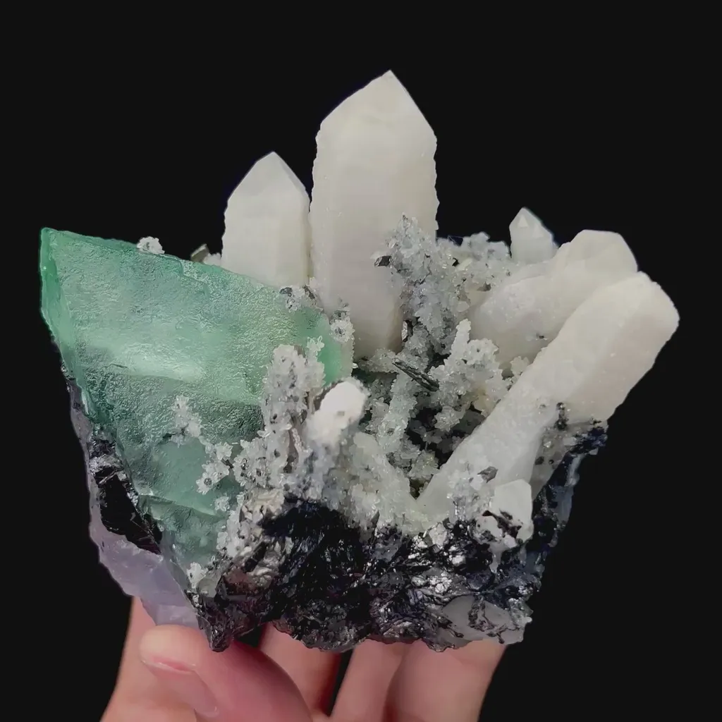 specimen video