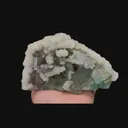 specimen video