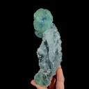 specimen video