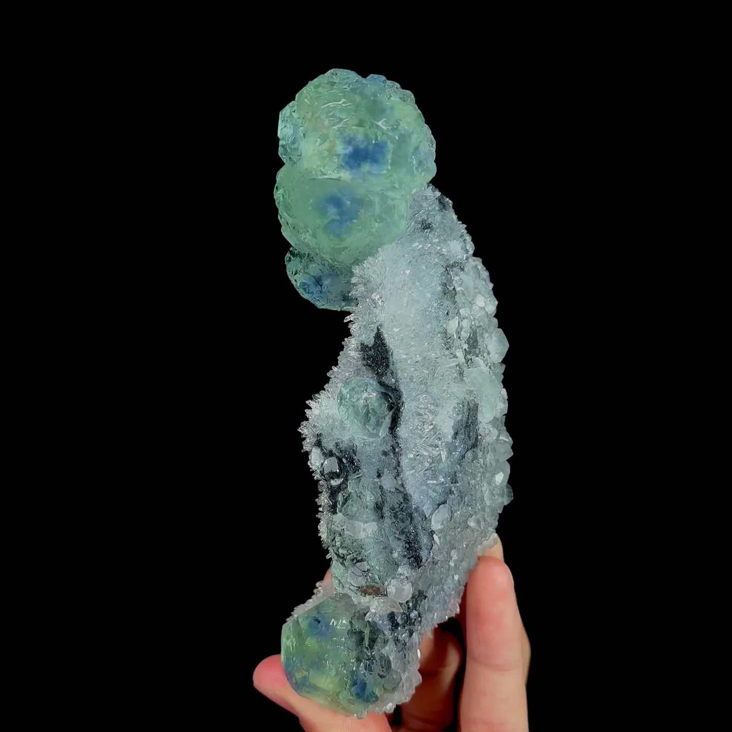 specimen video