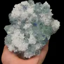 specimen video