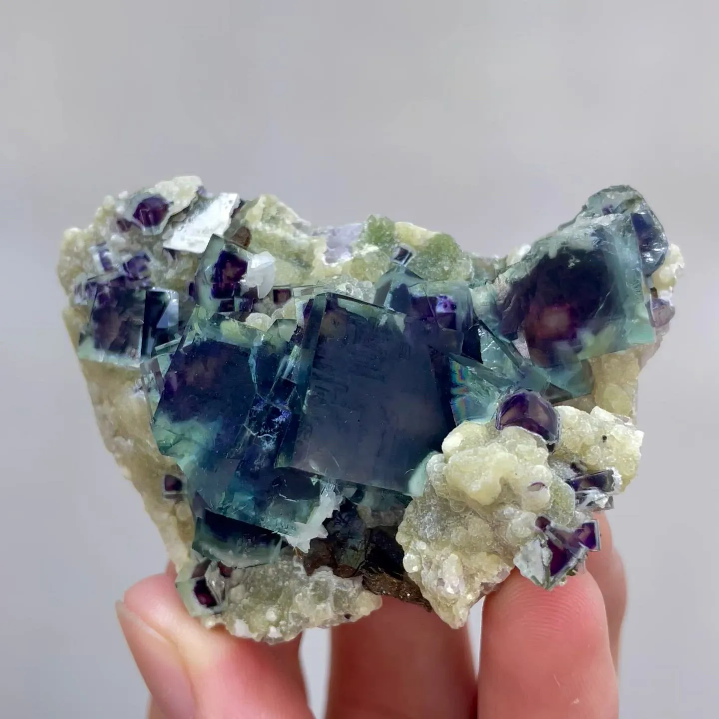 specimen video