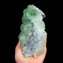 specimen video