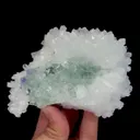 specimen video