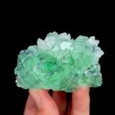 specimen video