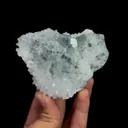 specimen video