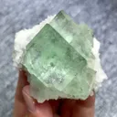 specimen video
