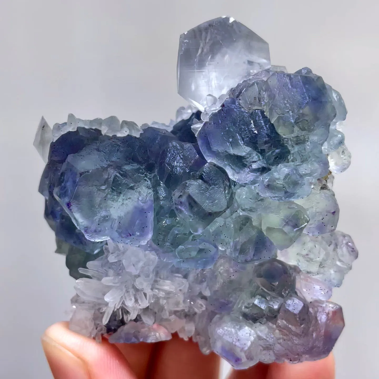 specimen video
