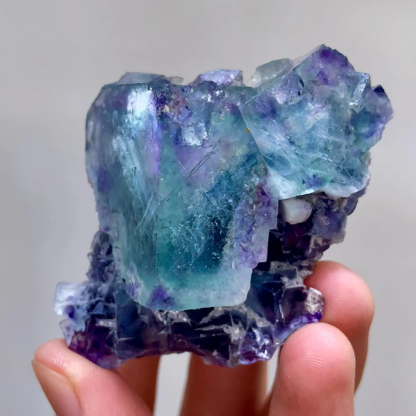 specimen video