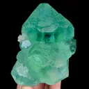 specimen video