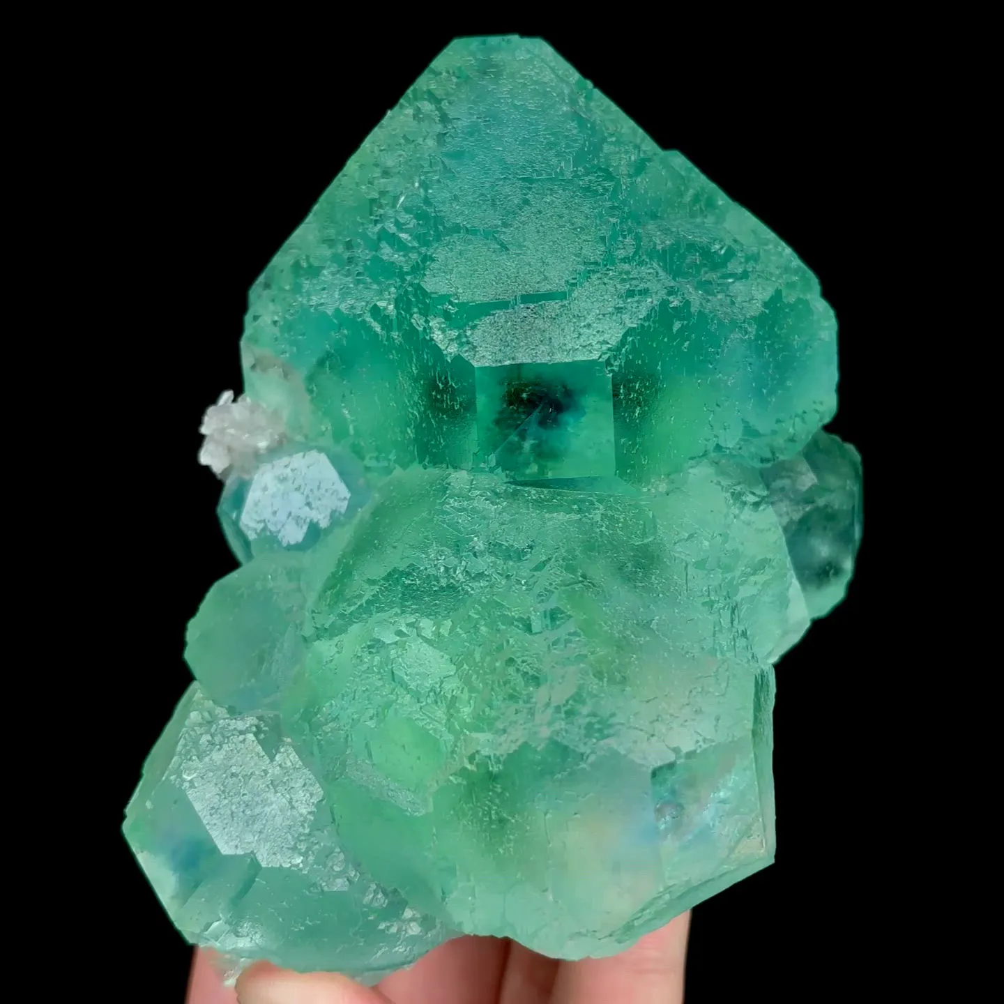 specimen video