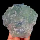specimen video