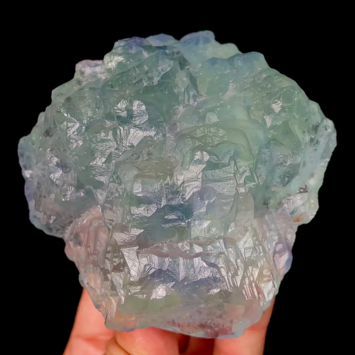specimen video