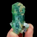 specimen video