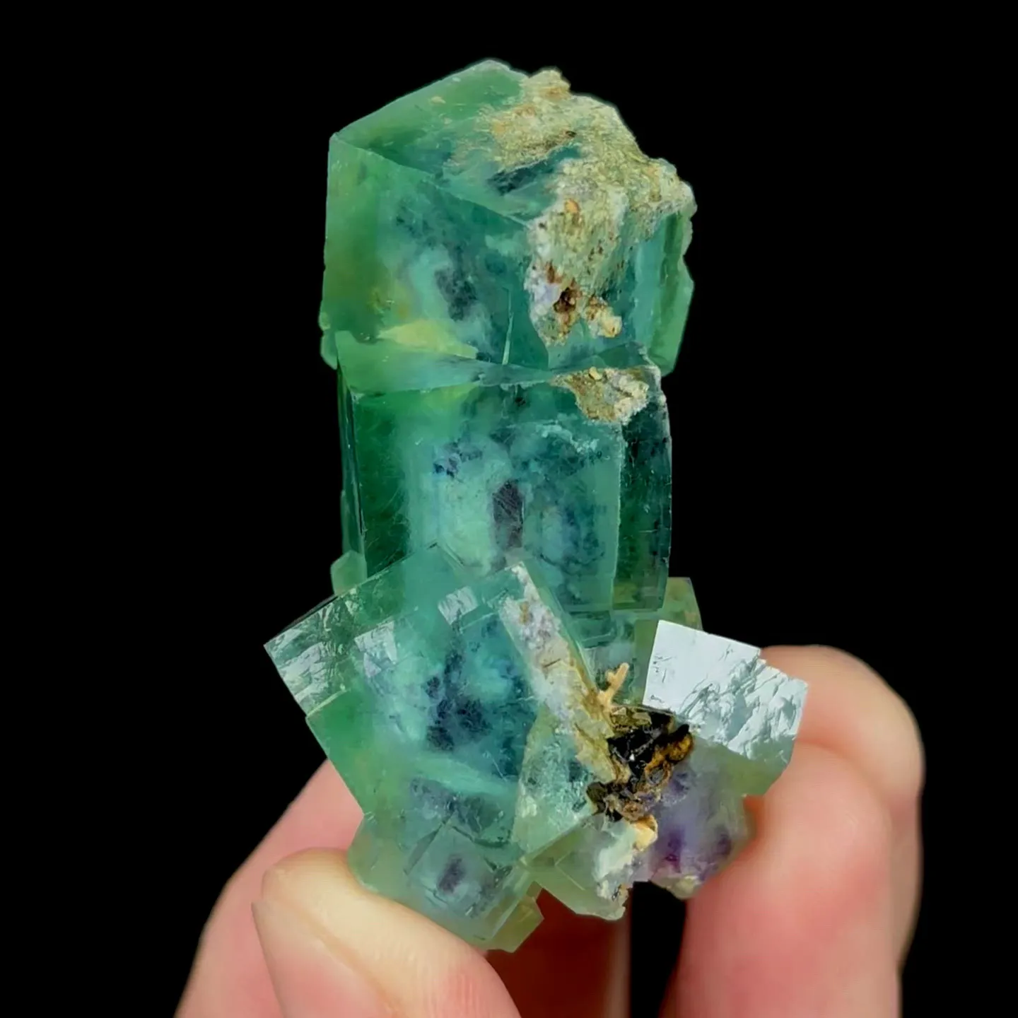 specimen video