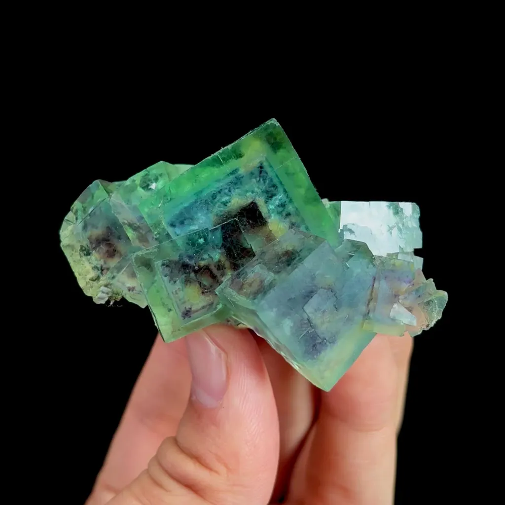 specimen video