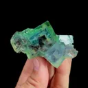 specimen video
