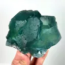 specimen video