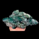 specimen video