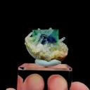 specimen video