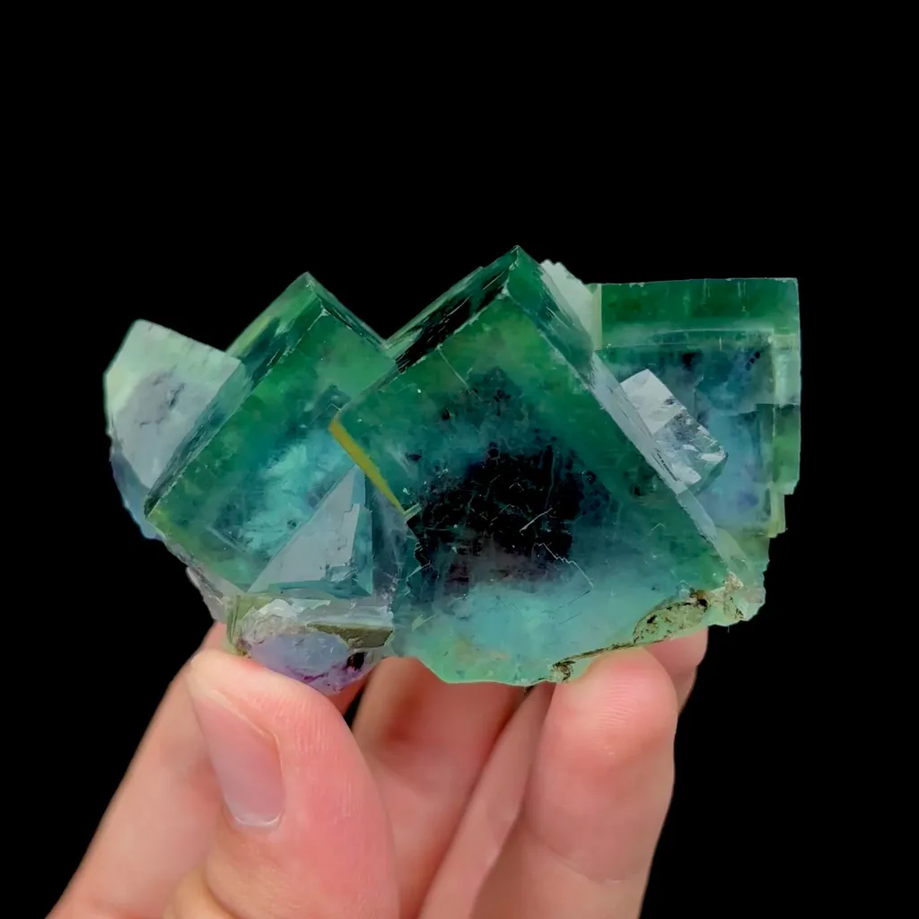 specimen video