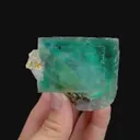 specimen video