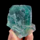 specimen video