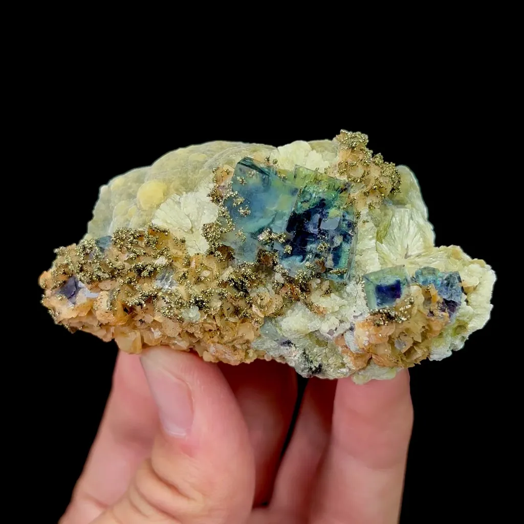 specimen video