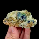 specimen video