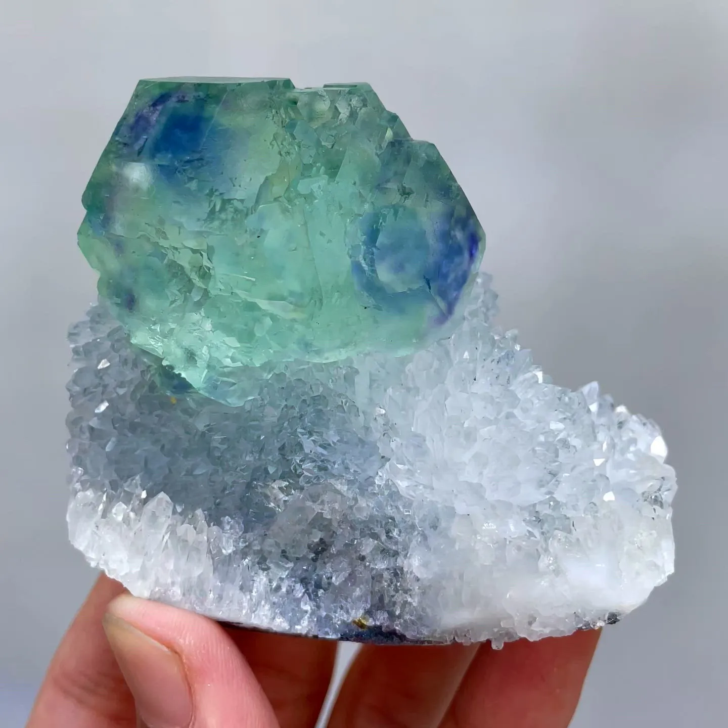 specimen video