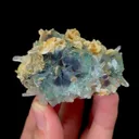 specimen video