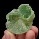 specimen video