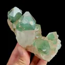 specimen video